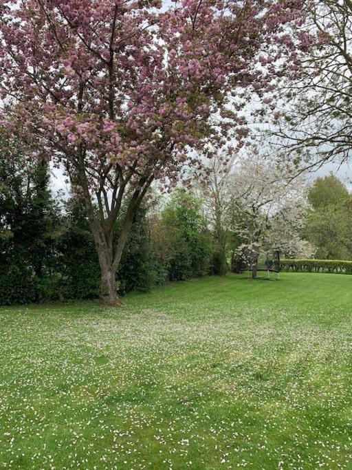 Вілла Le Nalousie Livry  Екстер'єр фото